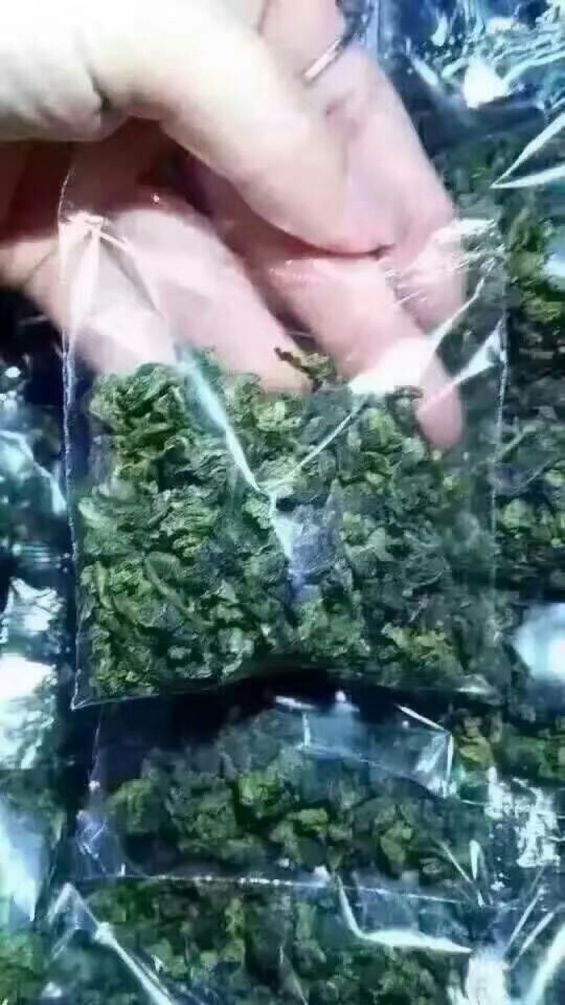 观音茶一级