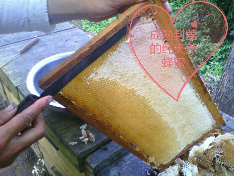 一件代发槐花蜜自产自销无任何添加，一件2斤