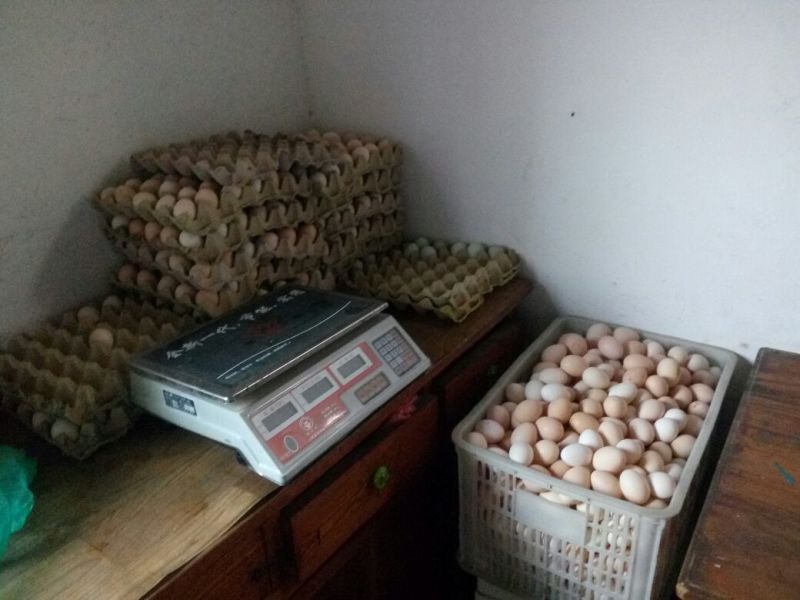 土鸡蛋食用50g以下