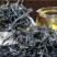 普洱绿茶散茶