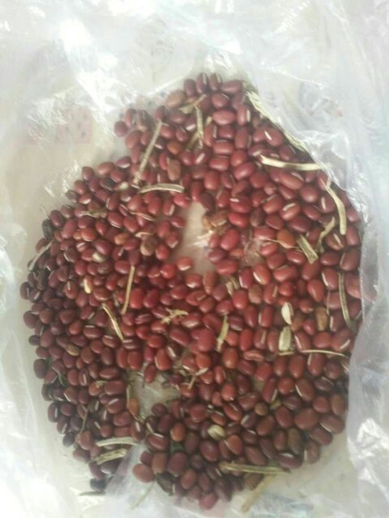 红小豆散装