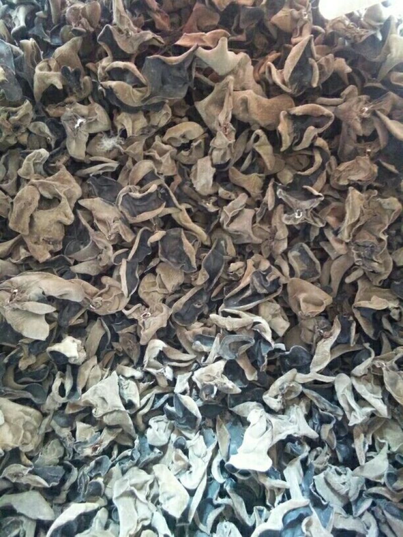 干木耳一级