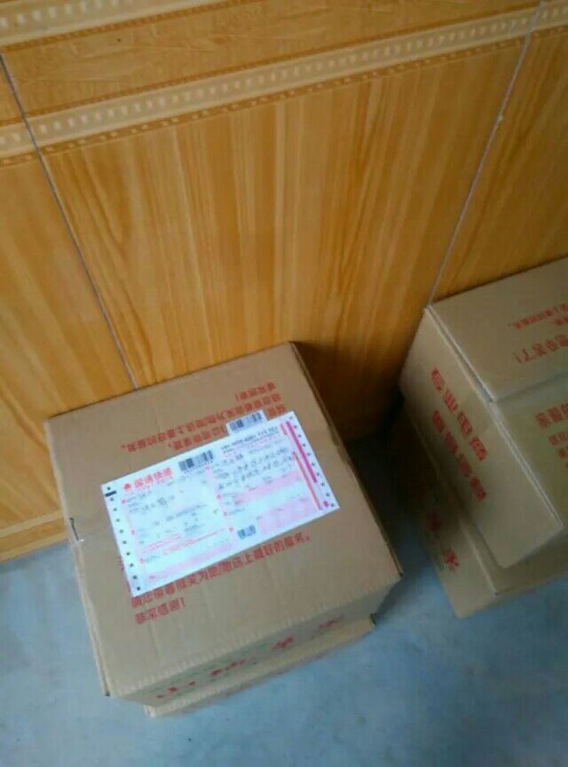 红富士苹果