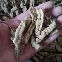 巴戟天一级