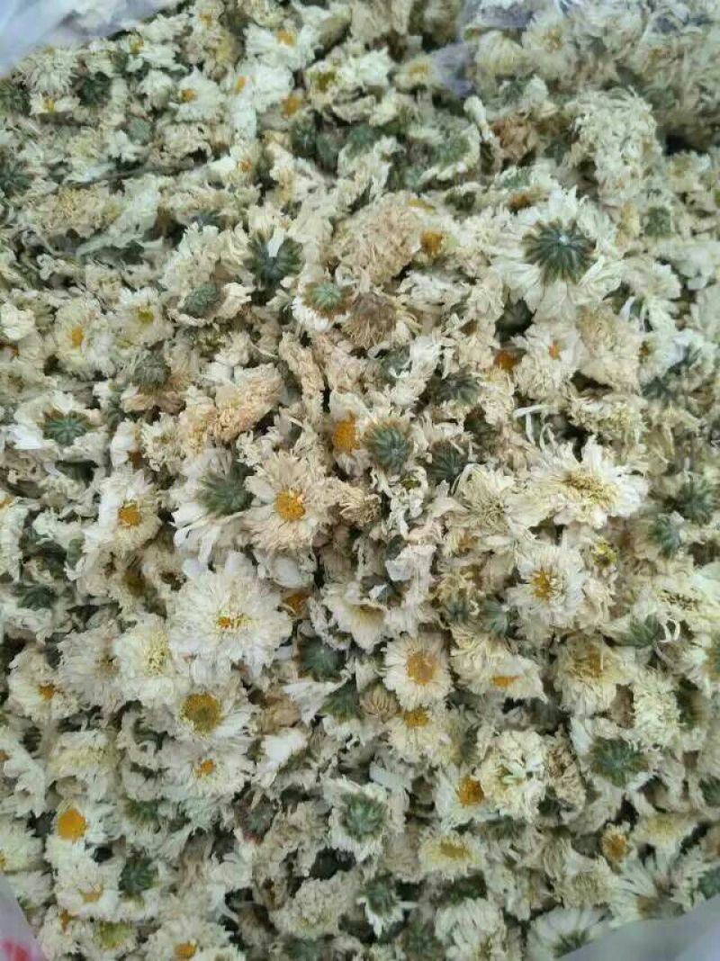 白菊花茶