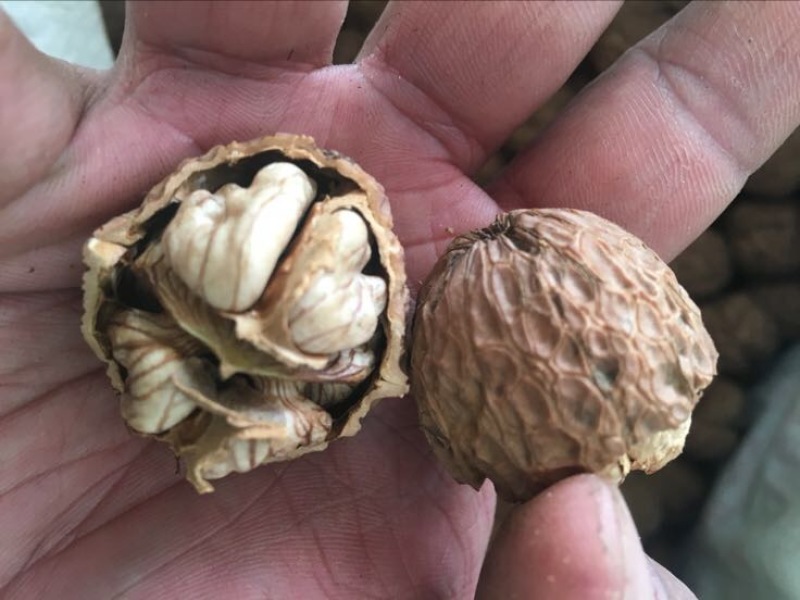 薄皮核桃30mm以上去皮干