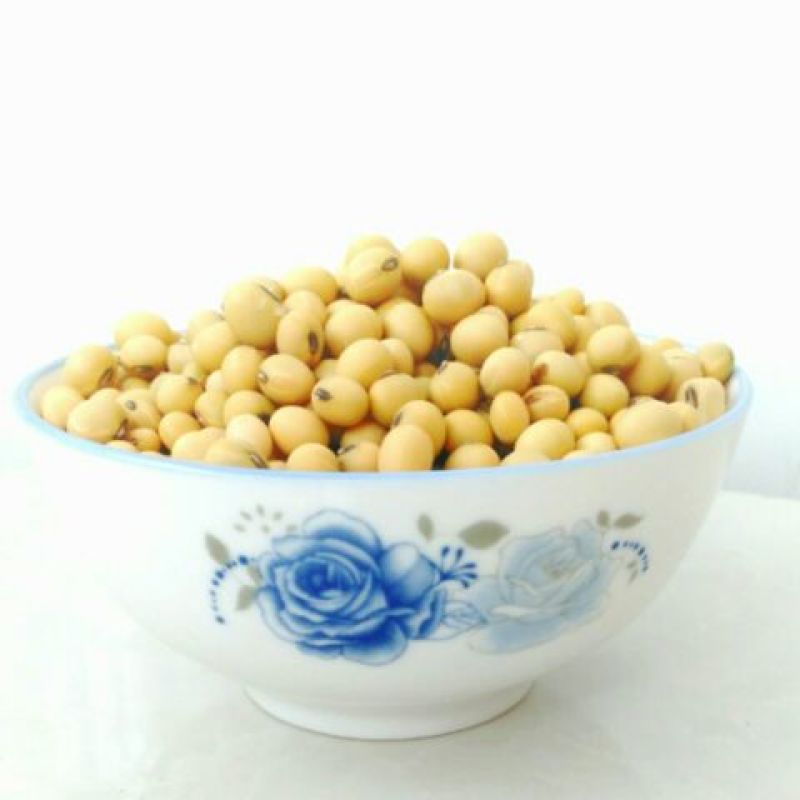 大豆