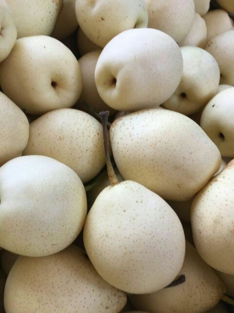 鸭梨300~350g纸袋