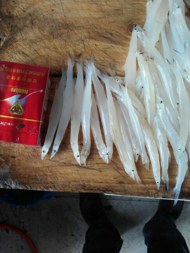 河虾冰鲜虾26~30只/kg