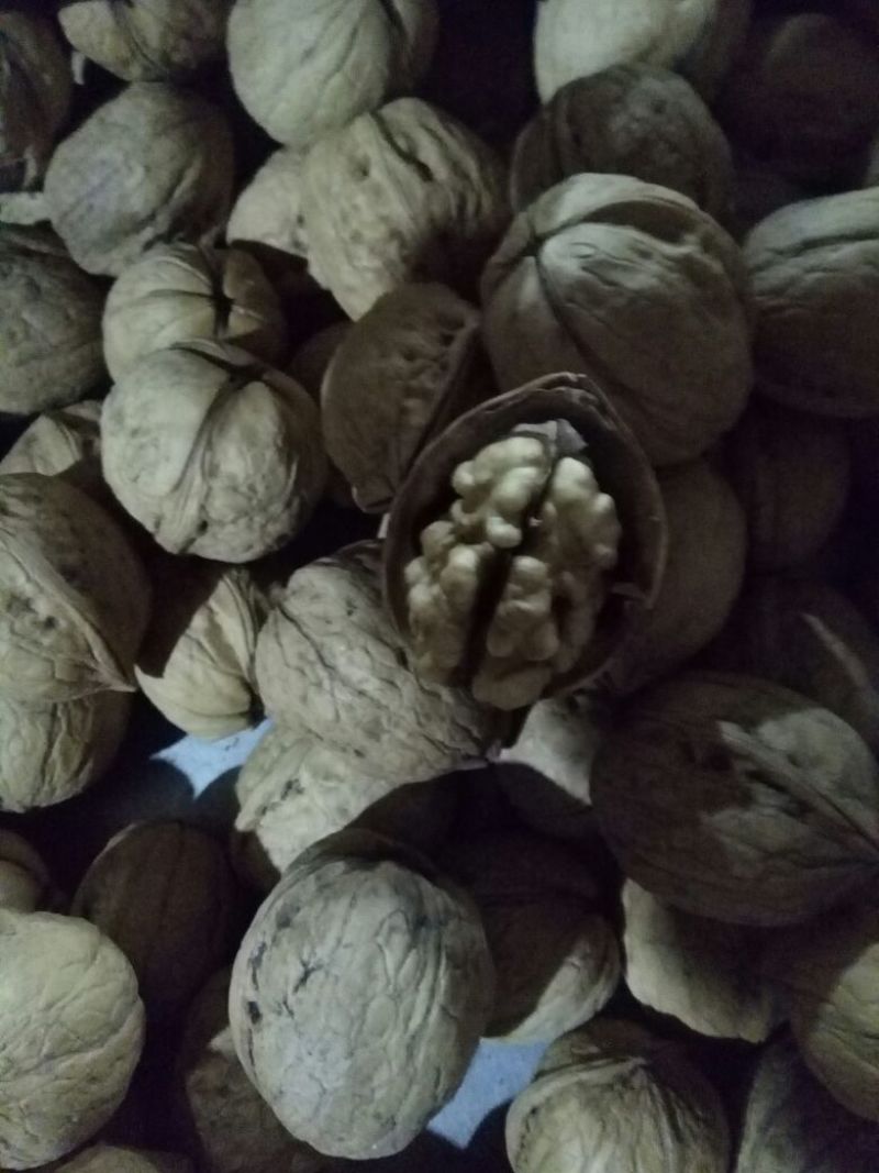 纸皮核桃30mm以上去皮干