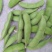 毛豆11-18克