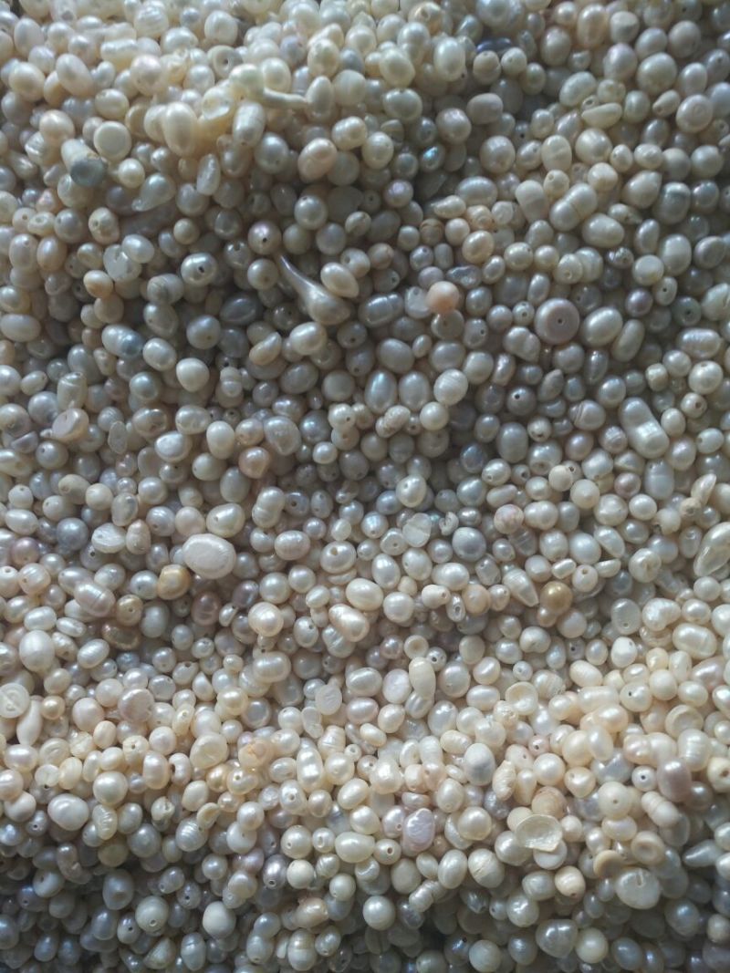 珍珠浙江淡水珍珠1公斤起批无硫无添加包邮