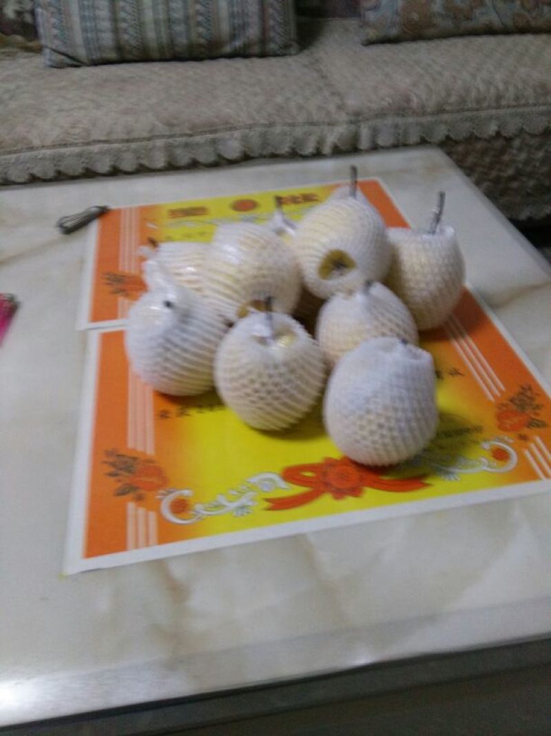 贡梨纸加膜350~400g
