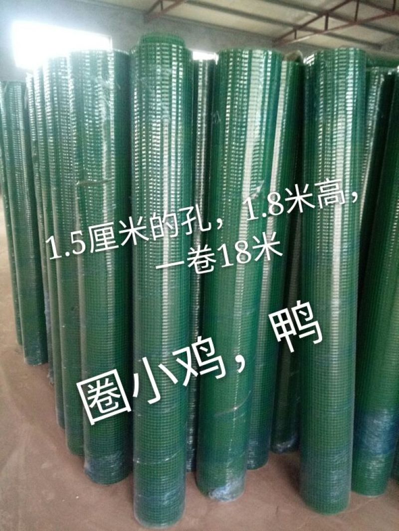 养鸡围栏网6公分