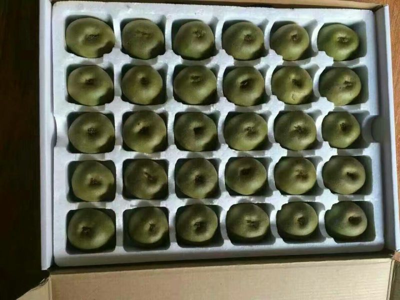 红心猕猴桃糖度高品质好，