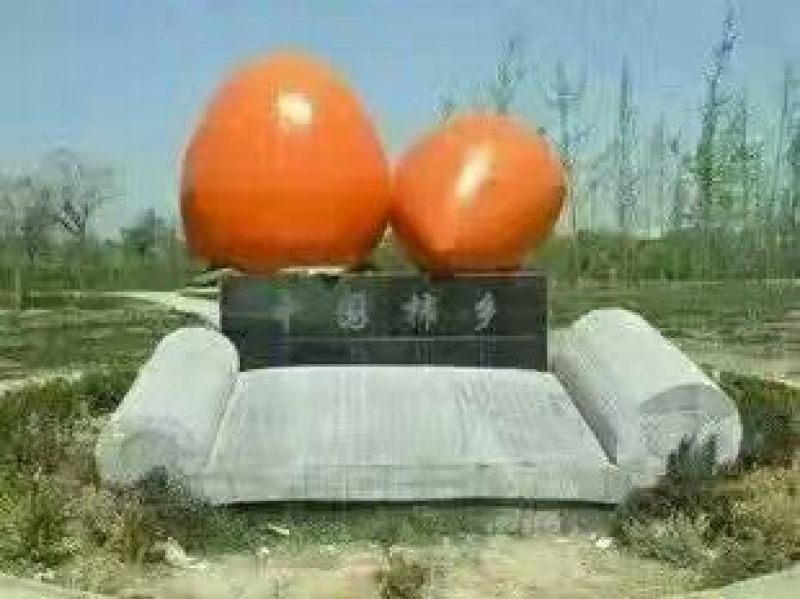 柿饼1~2两