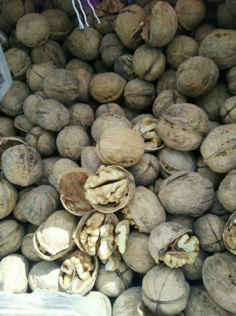 新疆185核桃去皮干