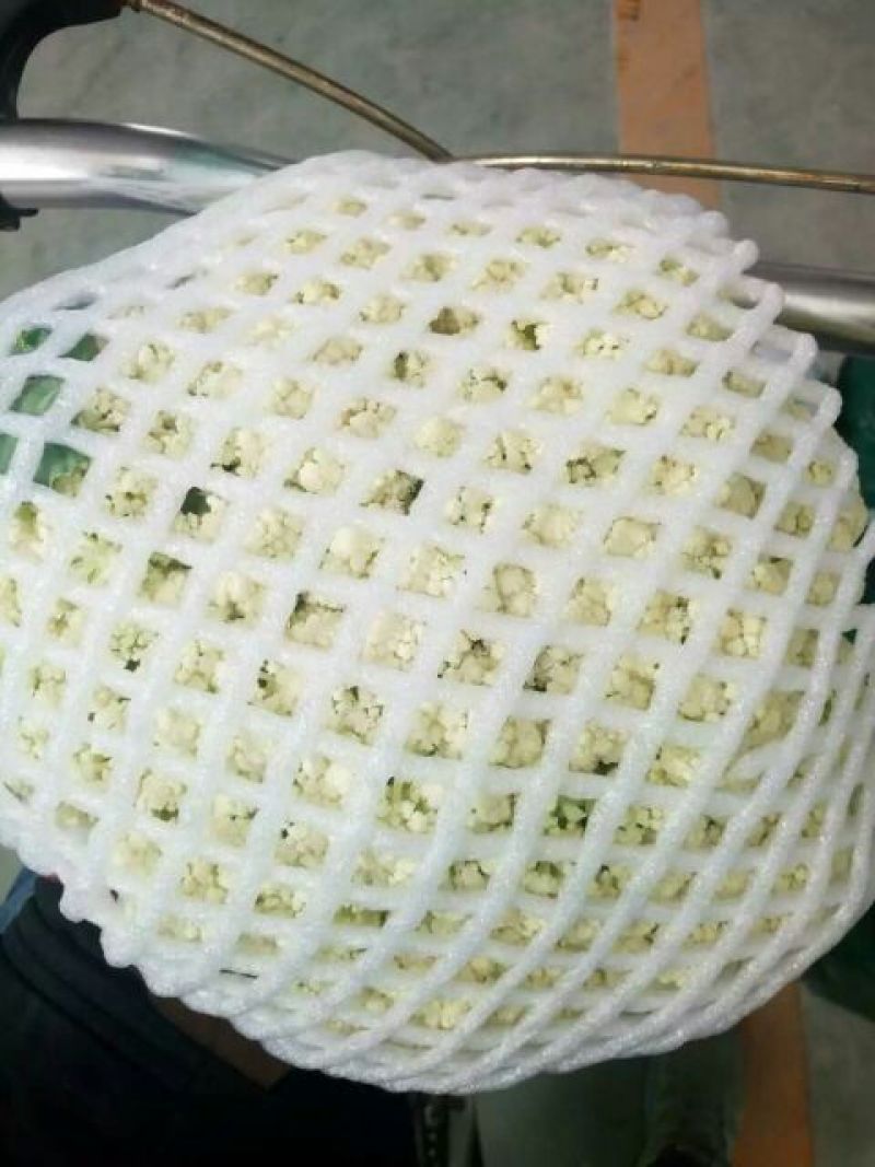 白花菜散装