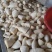 毛竹春笋10cm以下