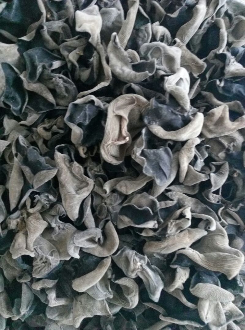 干木耳一级