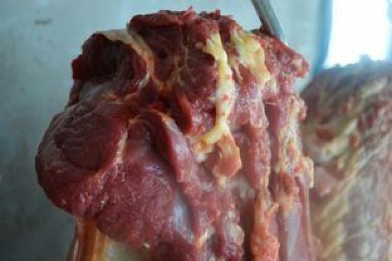 驴肉冻货