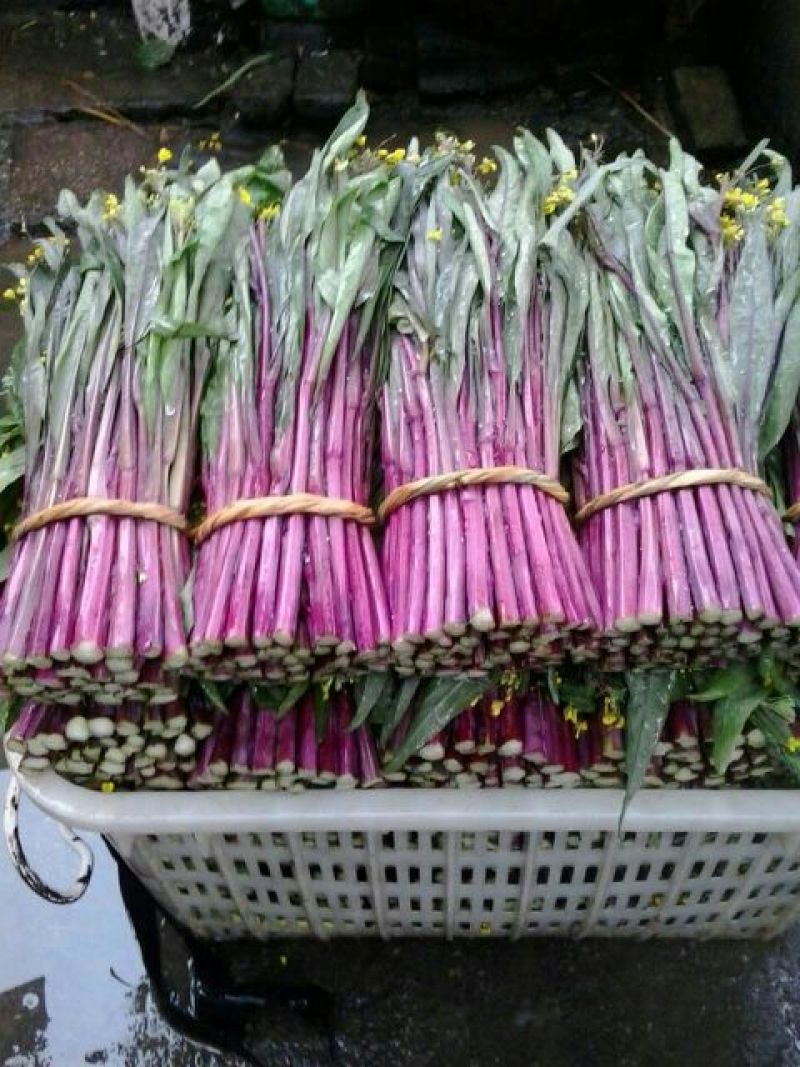 蔬菜