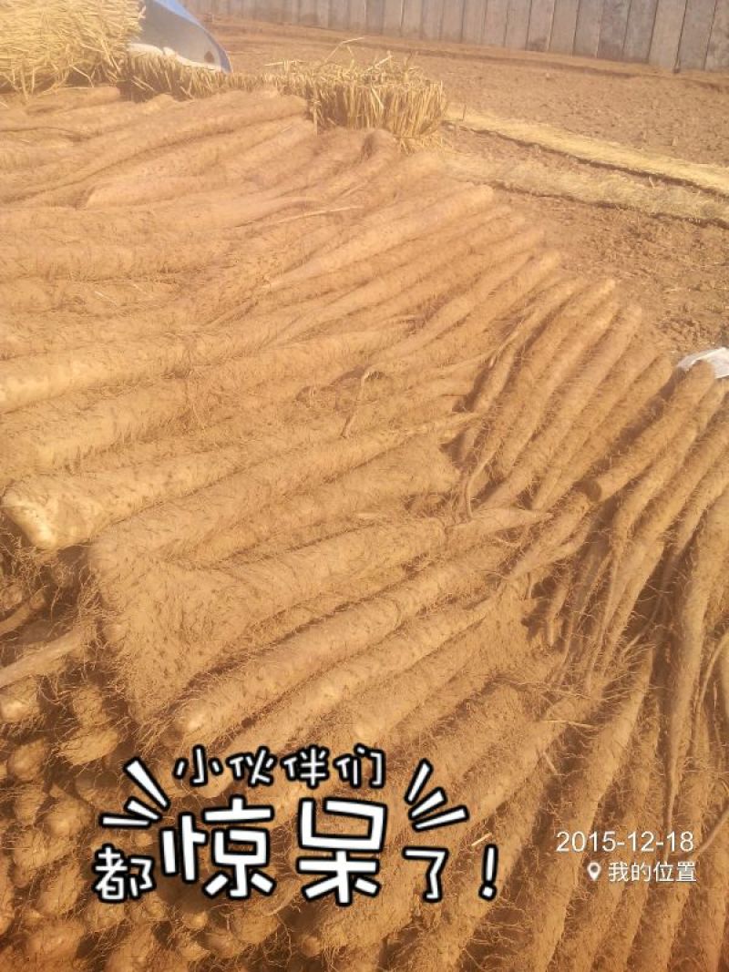 山药