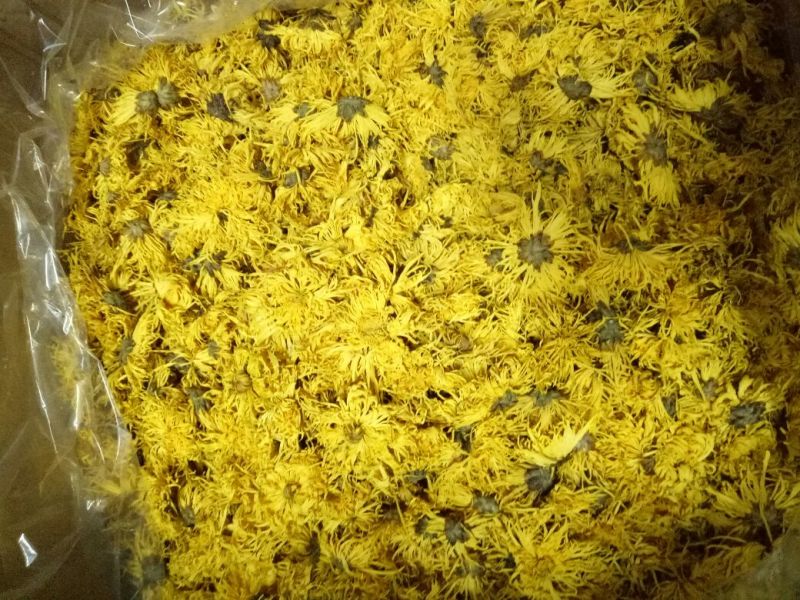 菊花茶