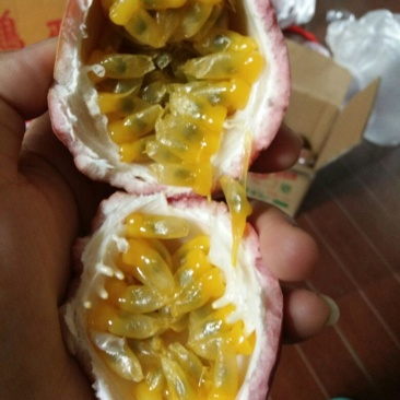 百香果紫果70~80g