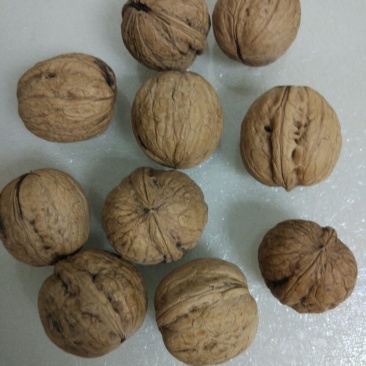 脱皮核桃25mm以下去皮干