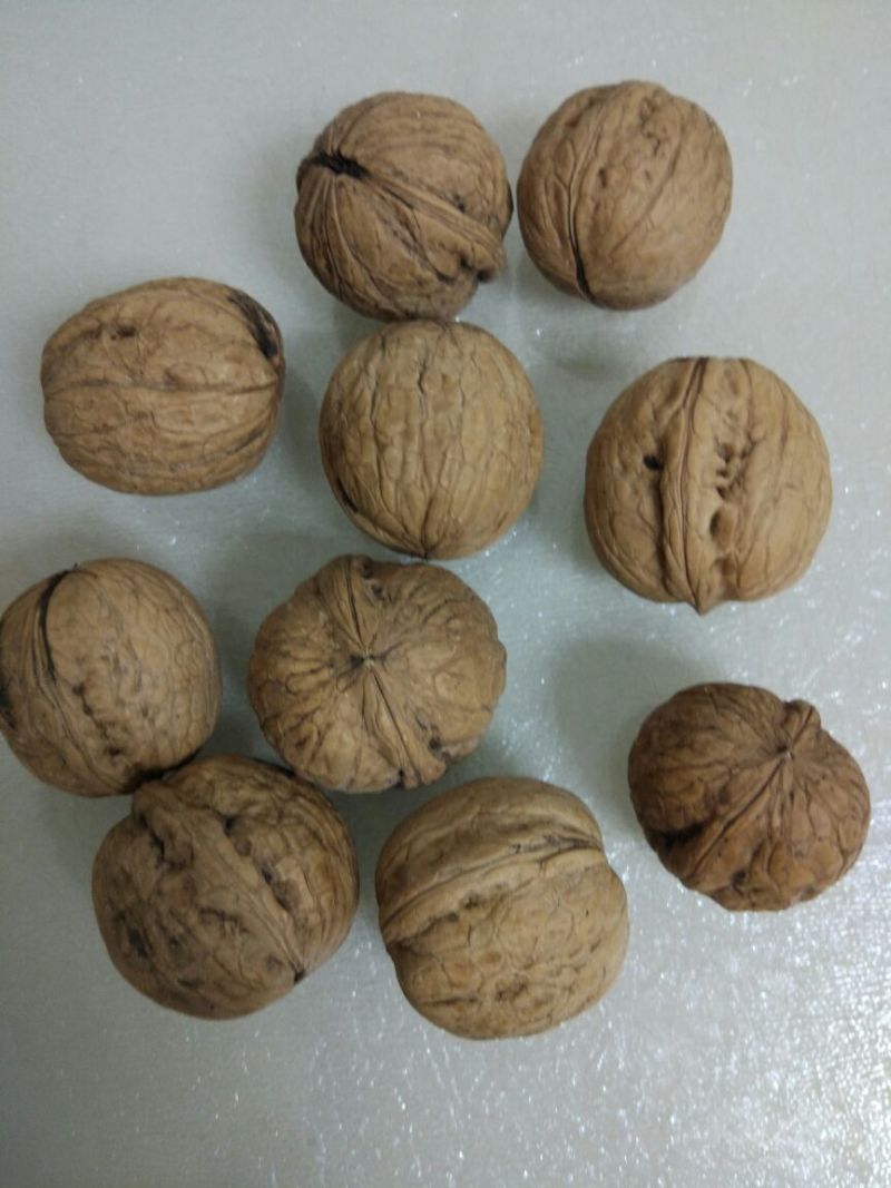 脱皮核桃25mm以下去皮干