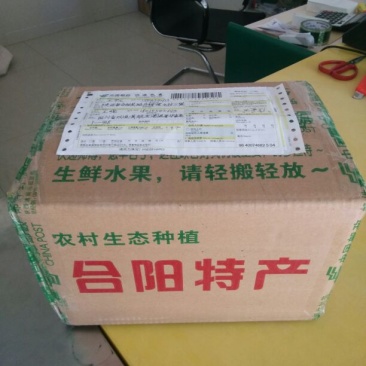 薄皮核桃30mm以上去皮干