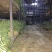 红根蒜苗，彭州蒜苗，硬叶蒜苗，川蒜苗，基地直供。。。
