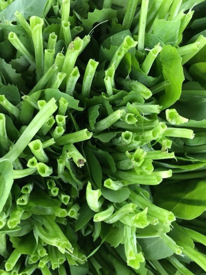 豌豆荚