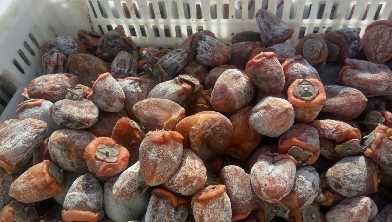 柿饼1~2两