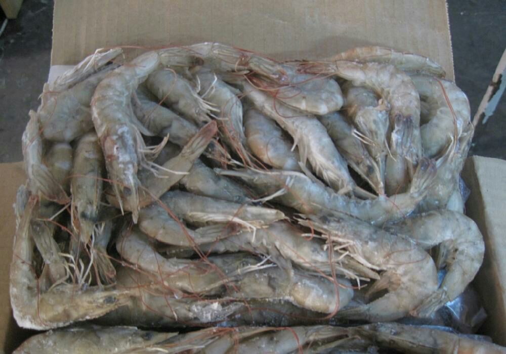 南美白对虾 食用 冻虾
