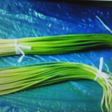 蒜薹50~60厘米山东省临沂市沂水县货源充足