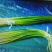 白帽蒜薹50~60厘米山东省临沂市沂水县大量供应