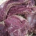 驴肉鲜货