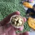 青皮核桃30mm以上去皮