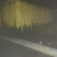 腐竹