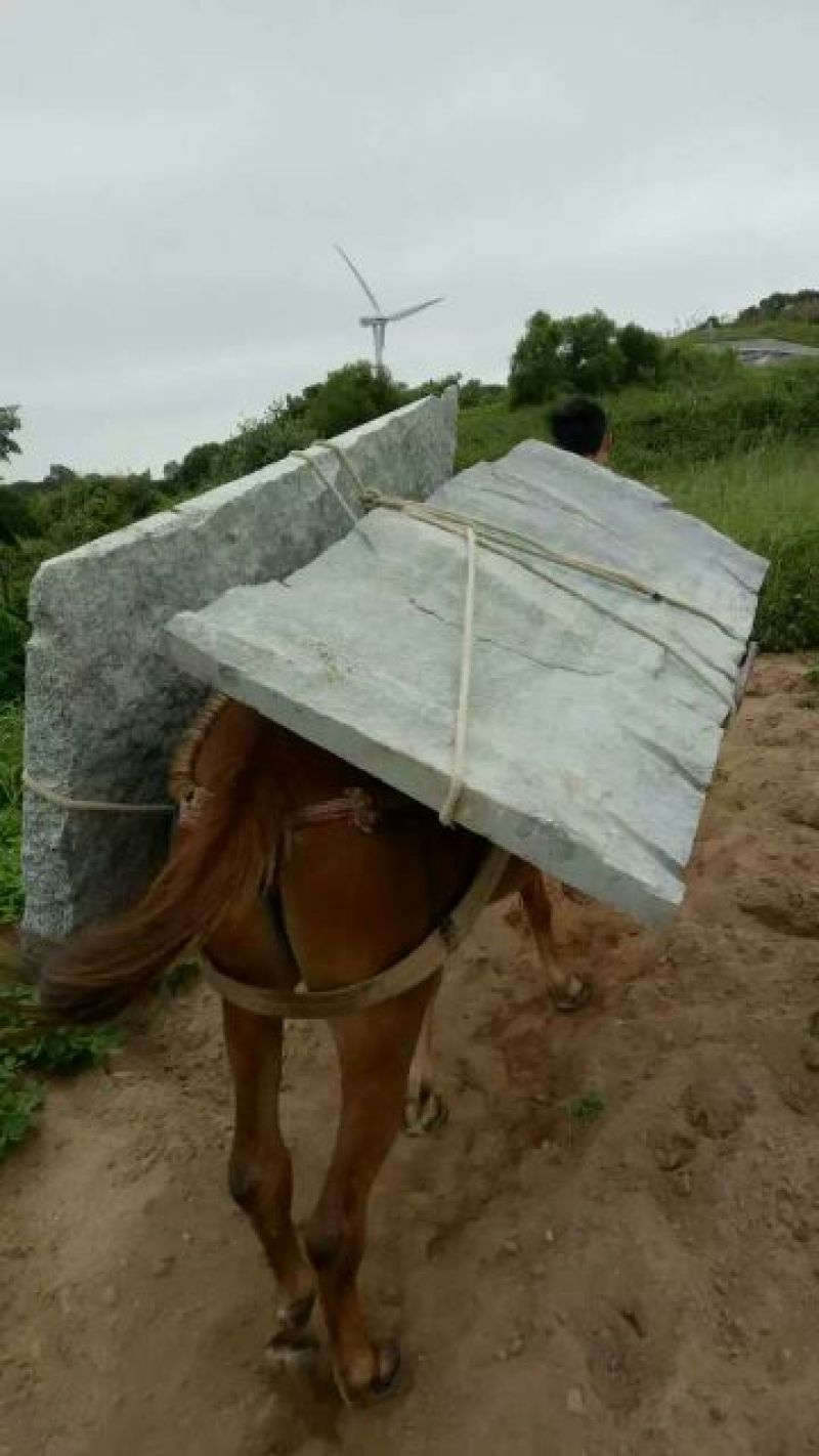 骡子300~400kg