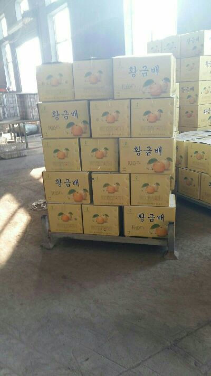 新高梨350~400g纸箱