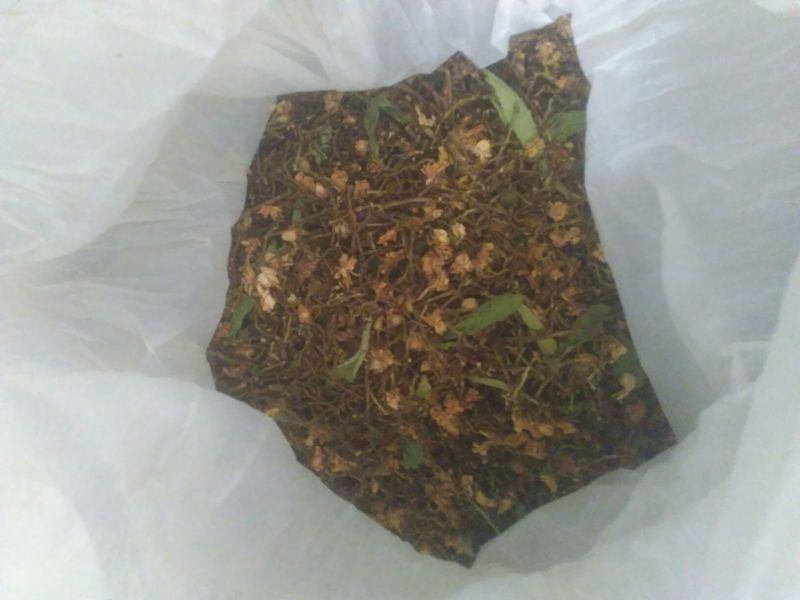 珍珠菊花茶开花