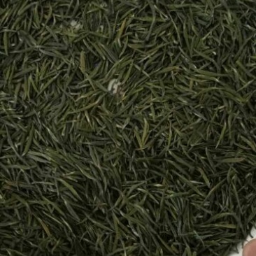 山茶特级