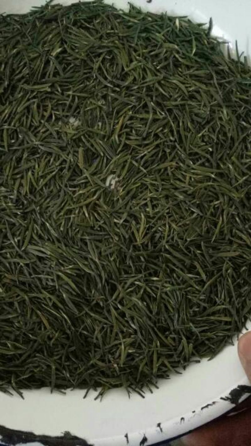 山茶特级