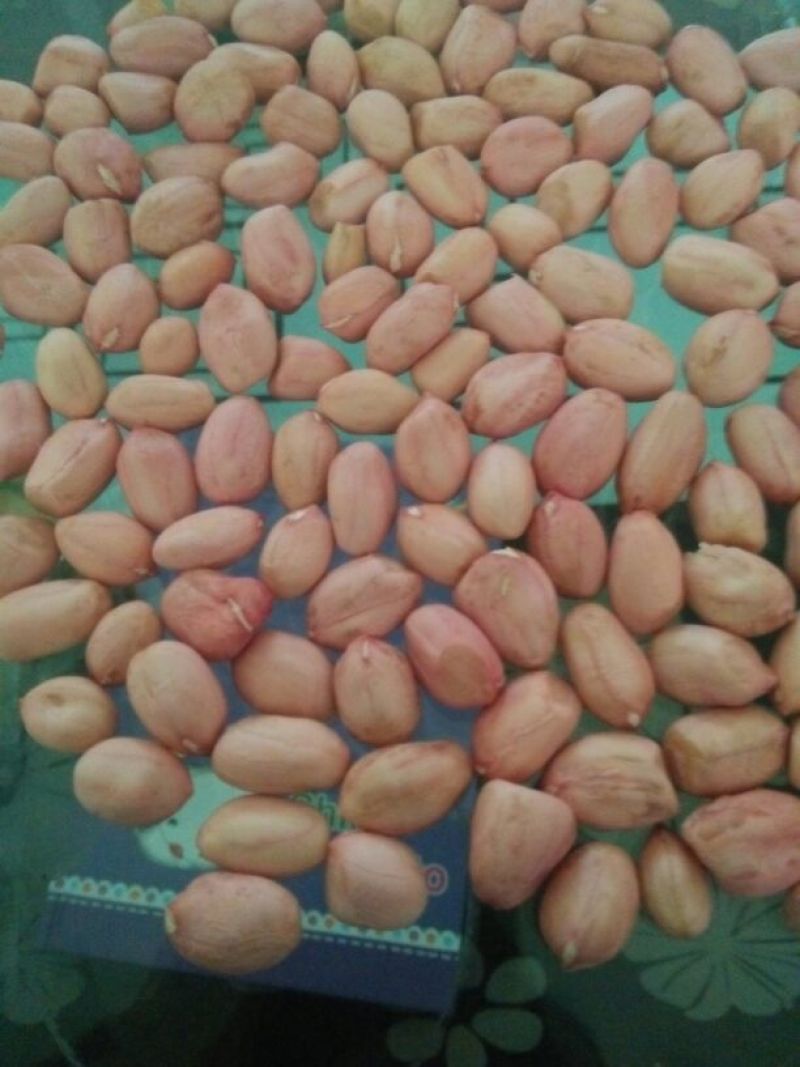 白沙系列