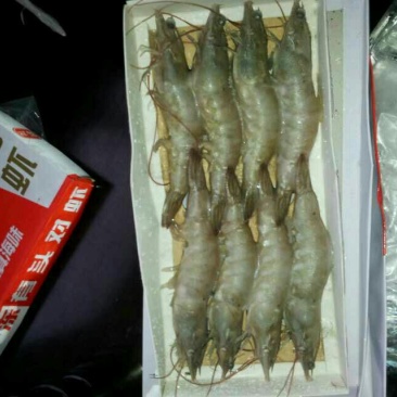 南美白对虾食用冻虾