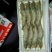 南美白对虾食用冻虾