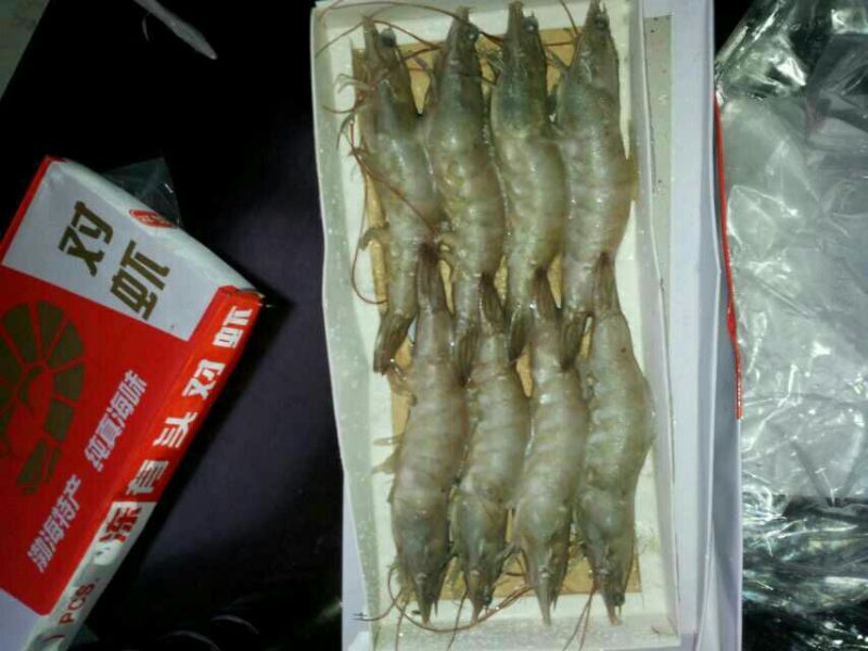 南美白对虾食用冻虾